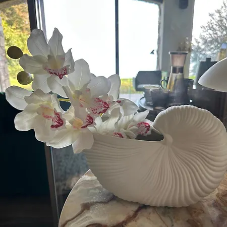 Private Luxury & Silence Retreat With Spectacular View Over The Maggiore Bed and Breakfast